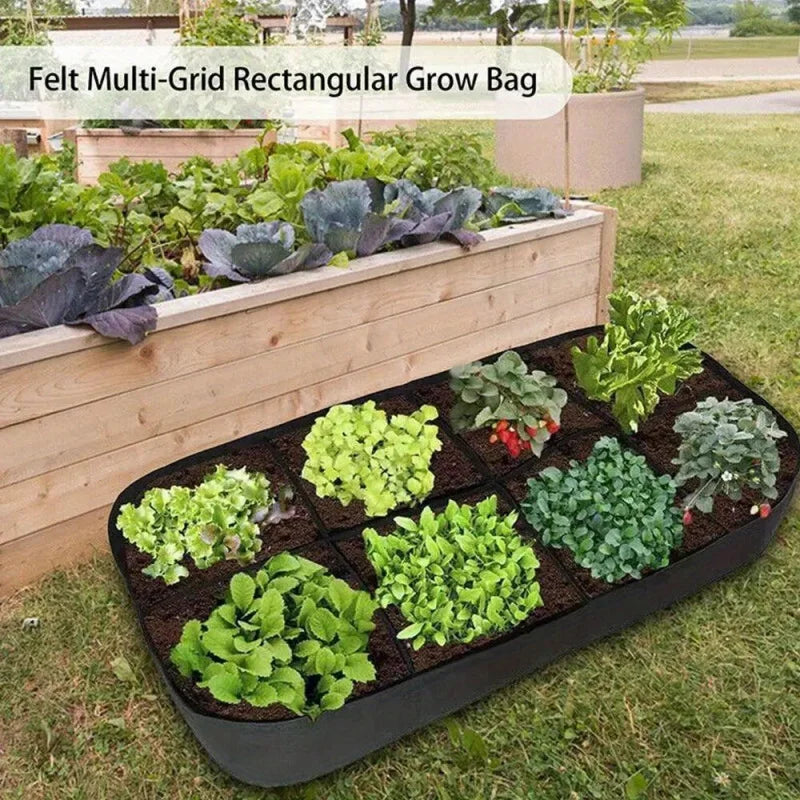 Raised fabric bed filled with soil and seedlings