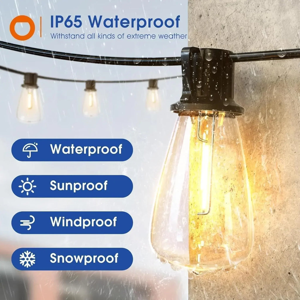 Close view of a shatterproof Edison bulb and weatherproof socket